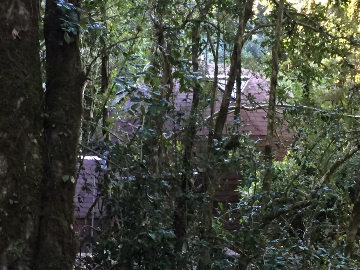 Ferienwohnung Domos Hijos Del Bosque Coñaripe Exterior foto