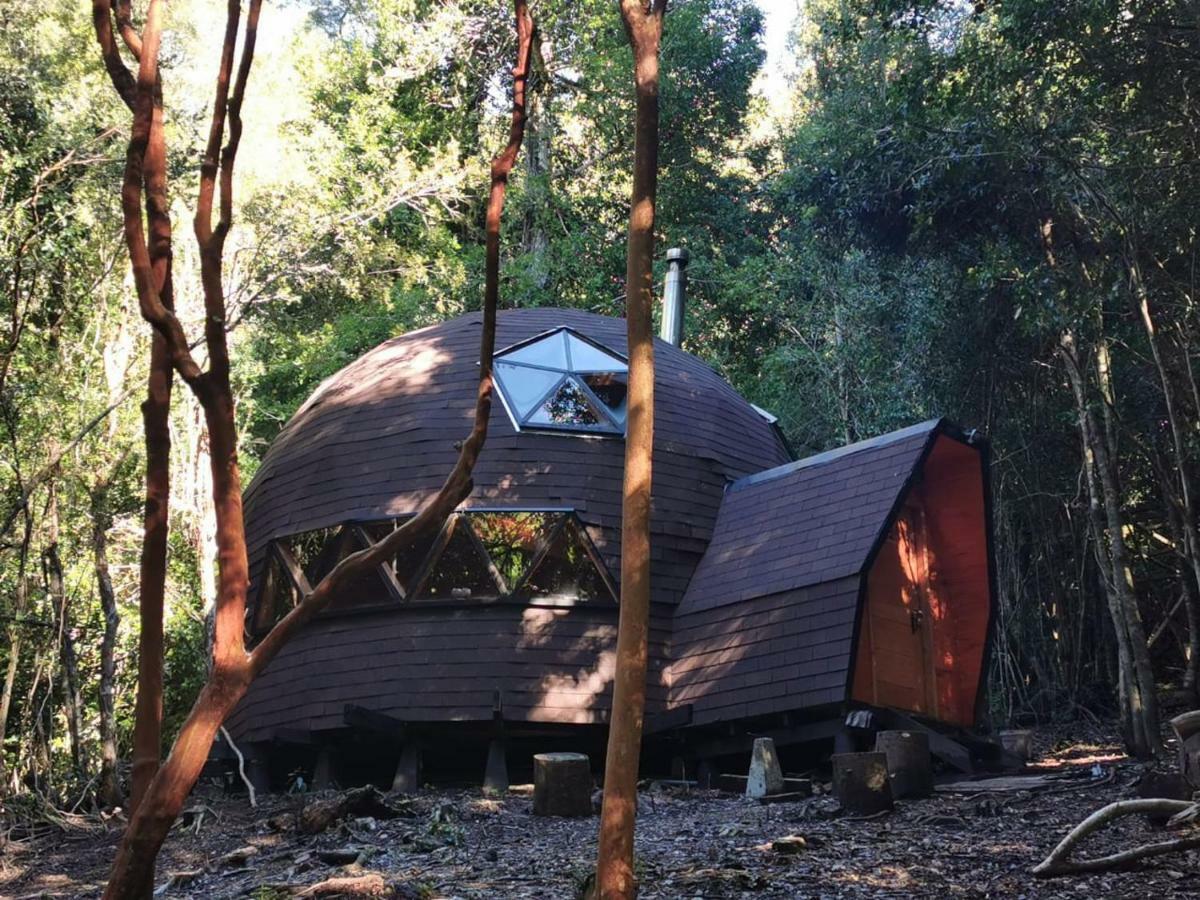 Ferienwohnung Domos Hijos Del Bosque Coñaripe Exterior foto